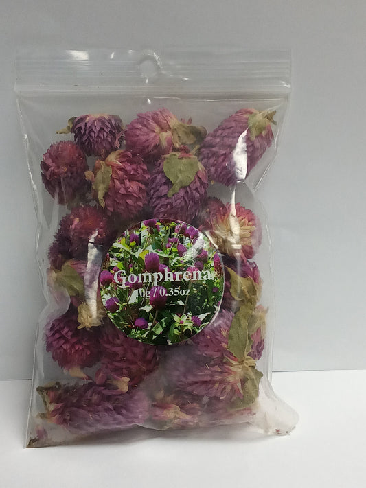 Gomphrena Flower