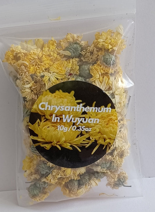 Chrysanthemum in Wuyuan