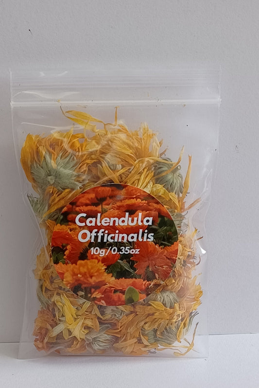 Calendula Officinalis