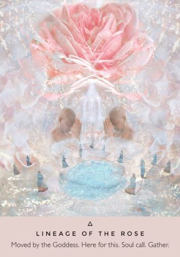 The Rose Oracle Cards and Guidebook
